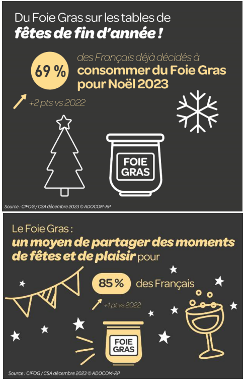 Infographie Noël