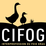 nouveau_CIFOG_2020_300