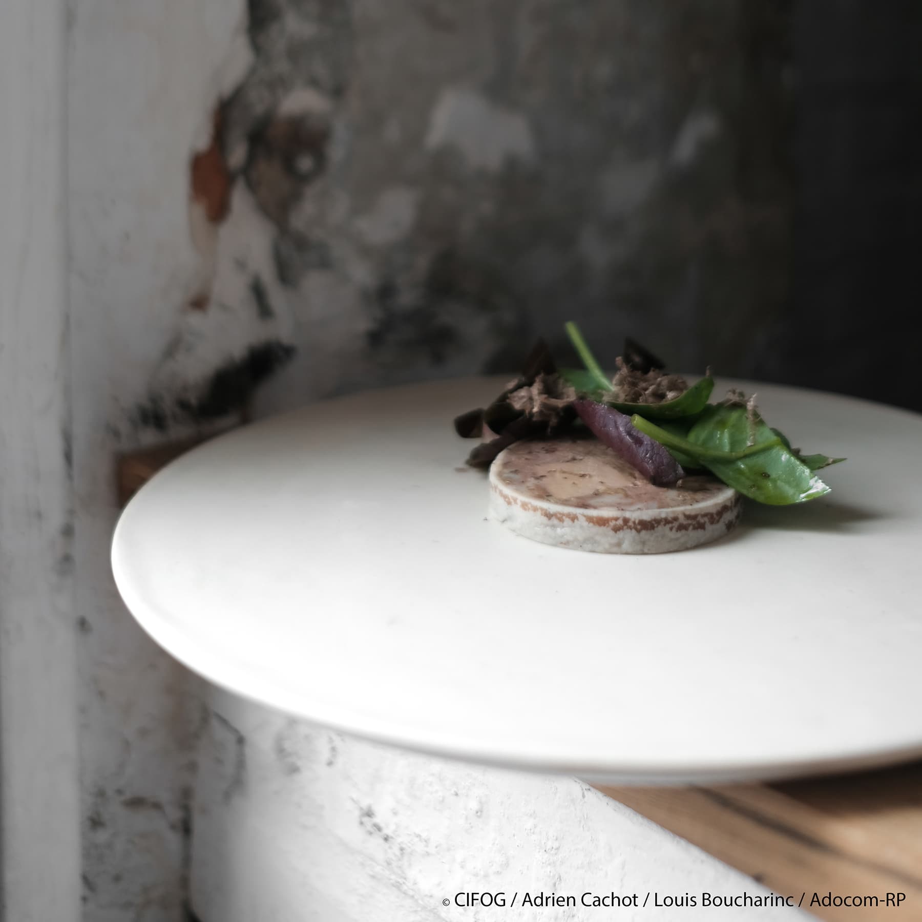 Ballotine de Magret de canard et Foie Gras