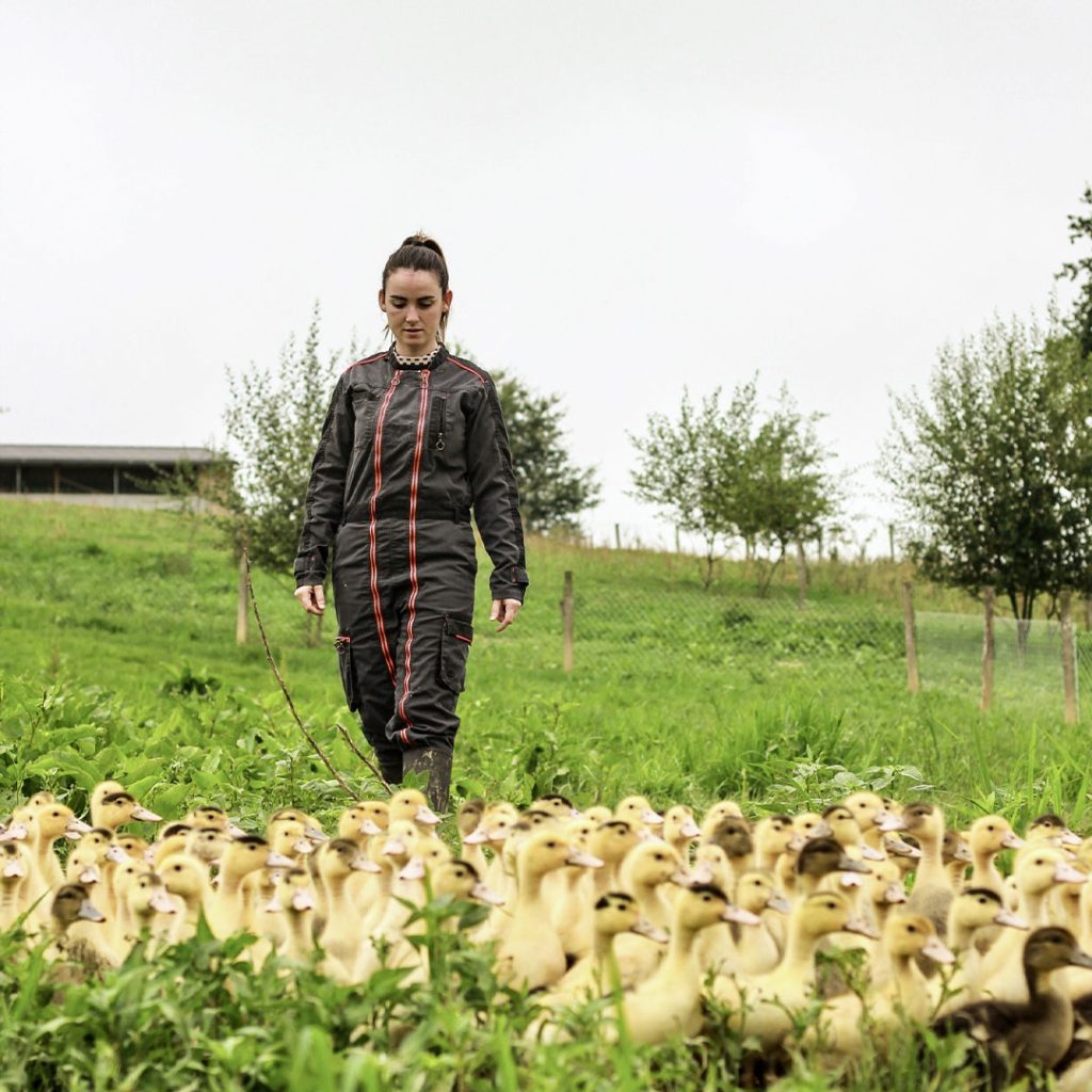 Journées du Patrimoine 2026 : les producteurs de Foie Gras ouvrent leurs portes